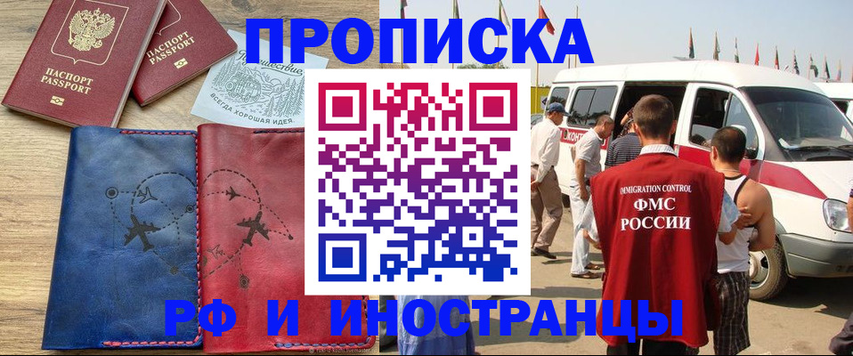 прописка в Дубне